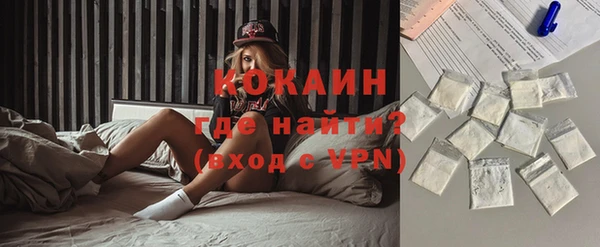 мдпв Богородицк