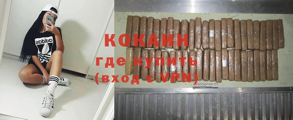 мдпв Богородицк