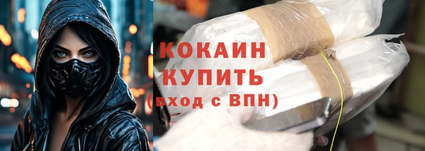 мдпв Богородицк