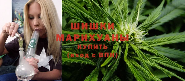 крисы Богданович